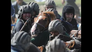 Кызылорда облысы Жанакорган ауданы Кожамберди ауылы Темирбекулы Нурболат мырзанын кокпары 11 11 2021