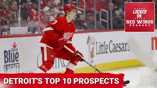 Ranking The Detroit Red Wings Top 10 Prospects!