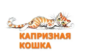 Капризная кошка