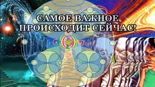 САМОЕ ВАЖНОЕ ПРОИСХОДИТ СЕЙЧАС!