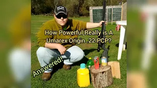 How Powerful Really is A Umarex Origin .22 PCP Air Rifle? (ANSWERED!)