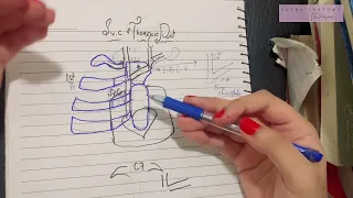 Thoracic Duct & Superior Vena Cava | Origin Course Termination & Tributaries