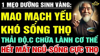 [Lạ] 1 THỨ NÀY KHỎE THÌ KHÍ HUYẾT MỚI LƯU THÔNG, Danh Y Chỉ Thuận Tự Nhiên Sẽ Sống Thọ | BTT