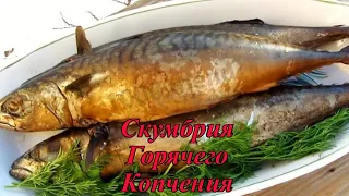 Скумбрия Горячего Копчения / Подробный рецепт!