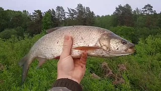 Ловля на кораблик. Кораблик в мае на жука.