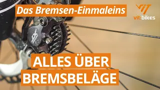 Bremsbeläge Scheibenbremse, das solltest du wissen!  👀🫵 Teil 1 Fahrrad Scheibenbremsen