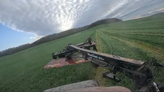 Mowing triticale