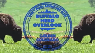 Buffalo Herd Overlook (Golden, CO)