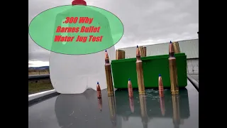 .300 Wby Barnes bullet test