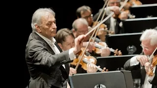 Bartók: The Miraculous Mandarin / Mehta · Berliner Philharmoniker