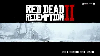 Red Dead Redemption 2 Xeon X3450 RX 570 4GB - Directx 12 API | Benchmarkism ID