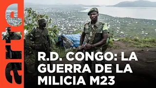 R. D. Congo: la guerra sin fin | ARTE.tv Documentales