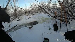 Spider fishing, lift. We catch huge carp in a swampy stream.