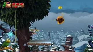 DKC Tropical Freeze - Momentum