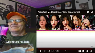 Fan Song??   APINK - Wait Me There..  Reaction!!