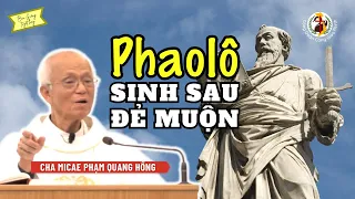 Thánh Phaolô: sinh sau đẻ muộn trong ơn nghĩa Chúa 🎤 Cha Phạm Quang Hồng - 25/01/2024