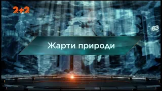 Жарти природи – Загублений світ. 2 сезон. 20 випуск