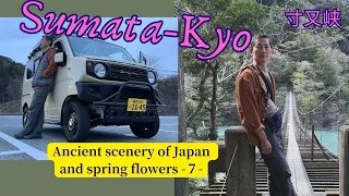 Ancient scenery of Japan and spring flowers - ’24 April - No.7 Sumata-kyo 日本の原風景と春の夢７寸又峡