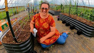 Let's Plant TOMATOES in the Greenhouse!! (& Take a Walk With the Goats)