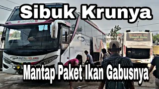 Teringat Pak Butar Butar Setiap Liput Bus Putra Pelangi ‼️Mantap Paket Ikan Gabus Nya