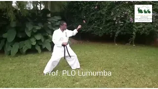 Prof  PLO Lumumba showing incredible Karate move