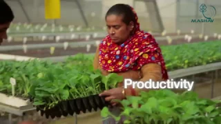 Indo Israel agricultural Project English Short movie