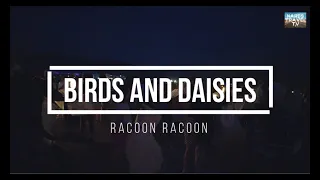 Birds and Daisies - Racoon Racoon (Lyrics) 🎶 | The Lights Festival 2021 Mesquite #7