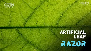 Artificial leaf: turning sunlight into fuel #RAZOR