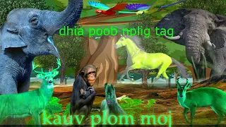 dab neeg kau dag ua rau tsiaj dhia poob plig tag 2024    4     20