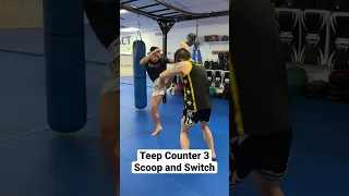 🥊 4 Ways to Counter the Teep 🦵🏽 #shorts