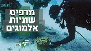 הפרופסור שמדפיס שוניות אלמוגים | עושים ירוק