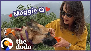 Maggie Q Goes on A Dodo Dream Date | The Dodo