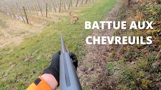 Battue aux chevreuils 2022