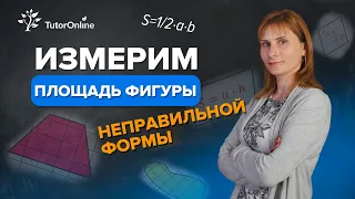 Нахождение площади фигуры неправильной формы | Физика | TutorOnline