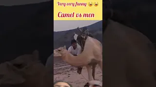 Camel vs men very very funny #shorts #ytshort