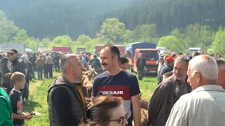 NE PAMTI SE VEĆA GUŽVA NA DERNEKU U TURBETU DOŠLI SU SA SVIH STRANA BOSNE