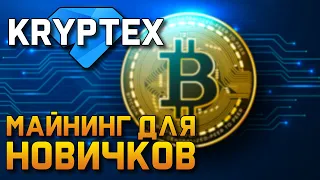 Майнинг с нуля. Как быстро начать майнить. Kryptex