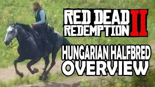 Hungarian Halfbred Overview | Red Dead Redemption 2 Horses