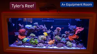 Tyler's Reef / Meticulous Equipment Room