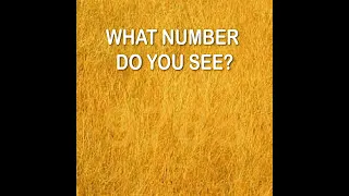 WHAT NUMBER DO YOU SEE? - 95% FAIL | Eye Test #8