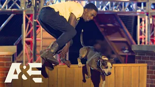 Rocko the Pit Bull Wins Fastest Run of the Night | America's Top Dog (Season 1) | A&E