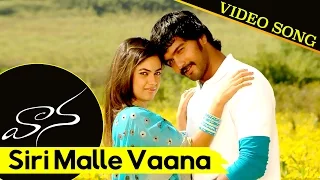 Vaana Movie Full Songs || Siri Malle Vaana Video Song || Vinay, Meera Chopra