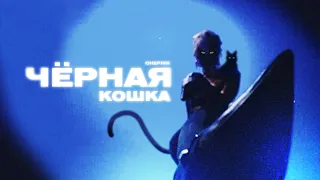 CHEPIKK - Чёрная кошка (Премьера песни, 2024)