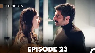 The Pigeon Episode 23 (FULL HD)