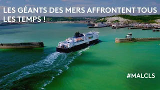 Les géants des mers affrontent tous les temps !