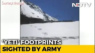 'Yeti' Footprints Sighted By Expedition Team, Tweets Indian Army