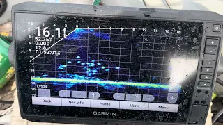 Livescope Showing Crappies On Structure!!!! #Garmin #Fishing #LVS34