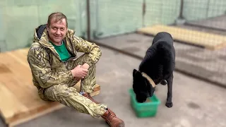 Самая ГРОЗНАЯ Донецкая овчарка уже ест из рук Олега Зубкова!