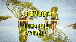 Фън шуи за всеки ден - №8