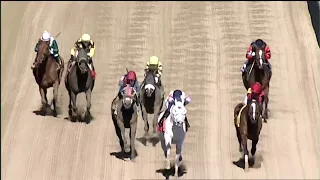 Laurel Park 03 19 2023 Race 8